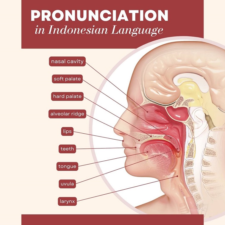 pronunciation picture