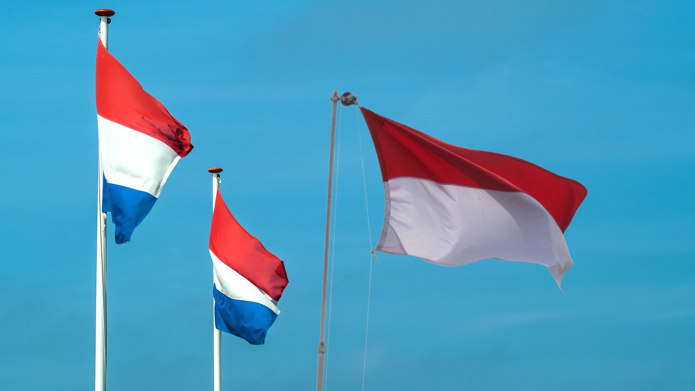 Indonesian vs Dutch